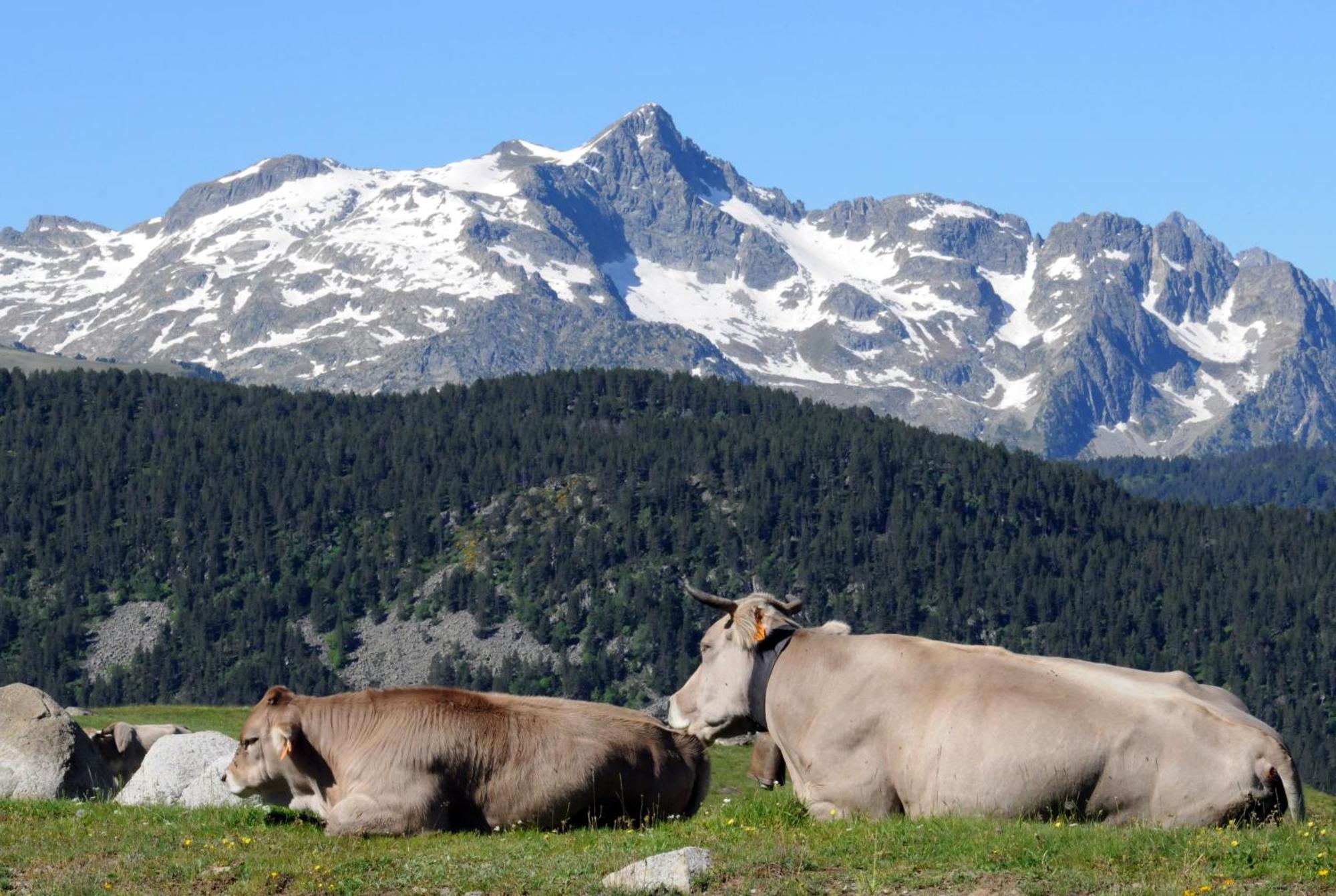 El Refugio De Aran Vielha Aparthotel Bagian luar foto